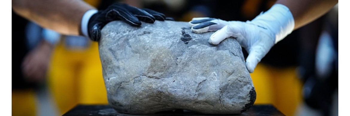 Patrick Swanson banner