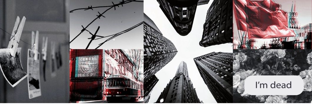 Местный Сета Тигма banner