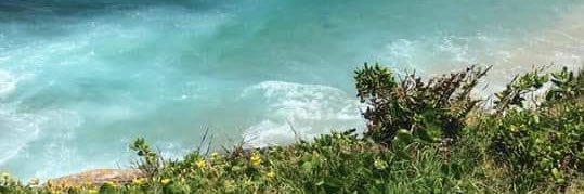 Rhys McAlister banner