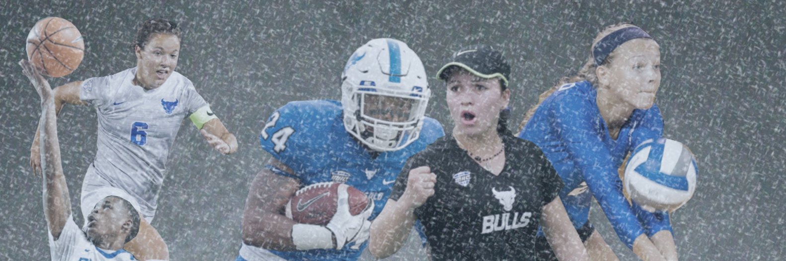 ub_fca's profile banner image