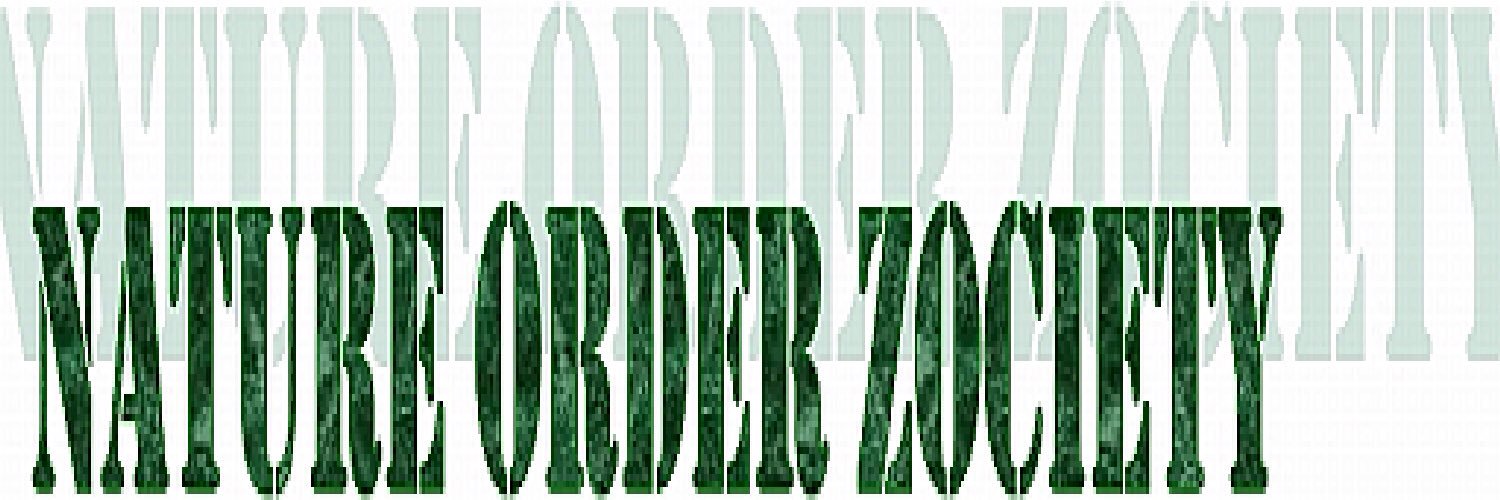 NatorzOrg's profile banner image