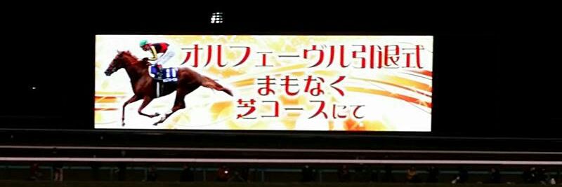 obii382's profile banner image