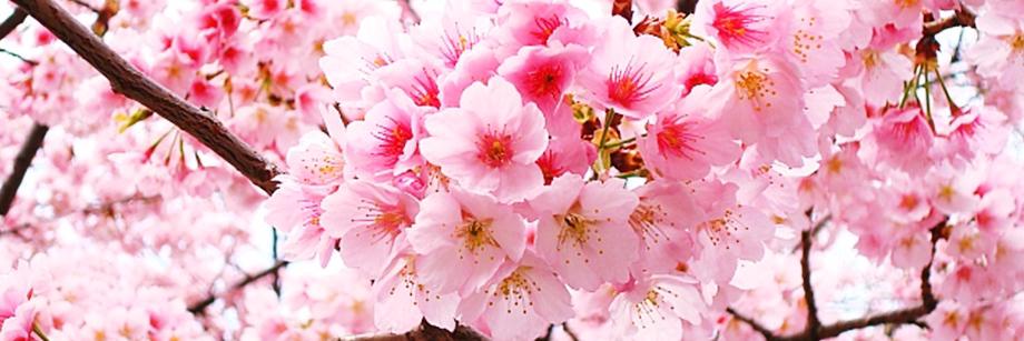 ju_uchimura's profile banner image