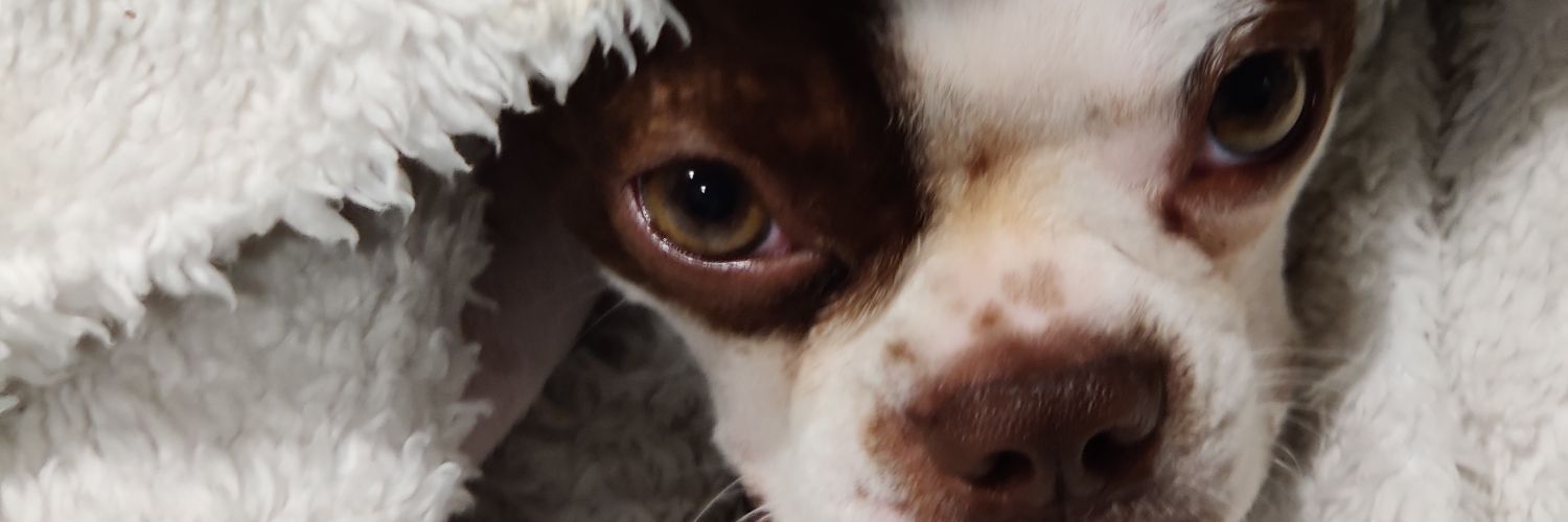 Redfury9's profile banner image