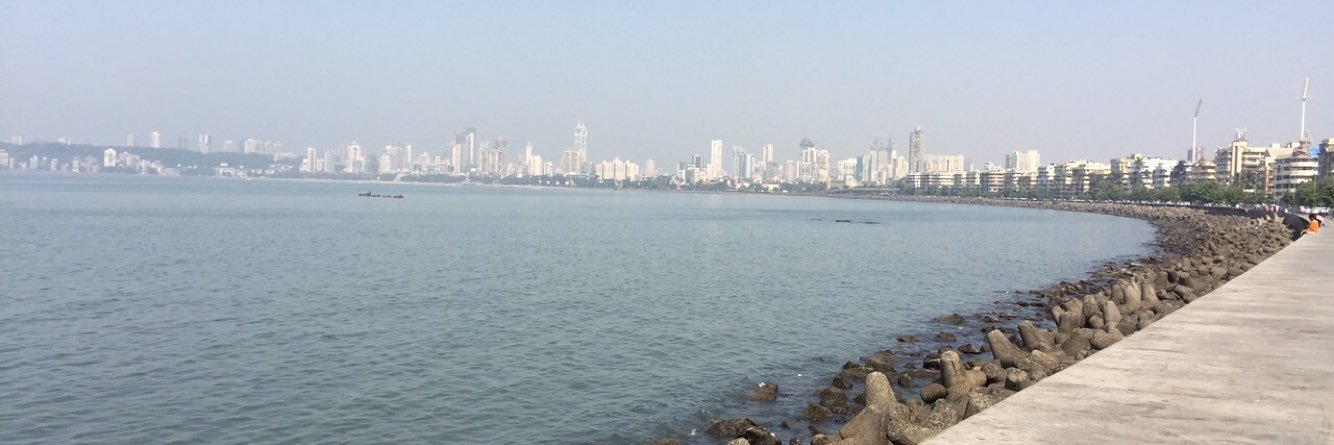 CAShraddhaa's profile banner image