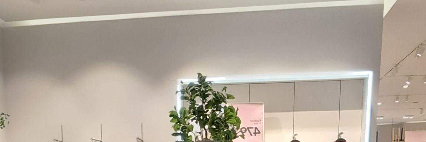 appa yip yip banner