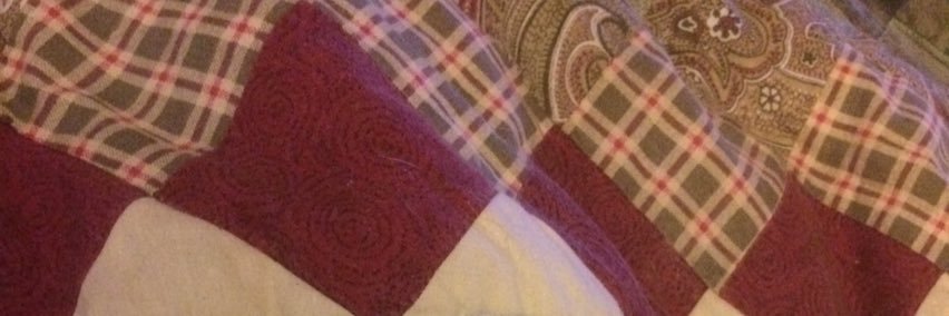 SusanShindle766's profile banner image