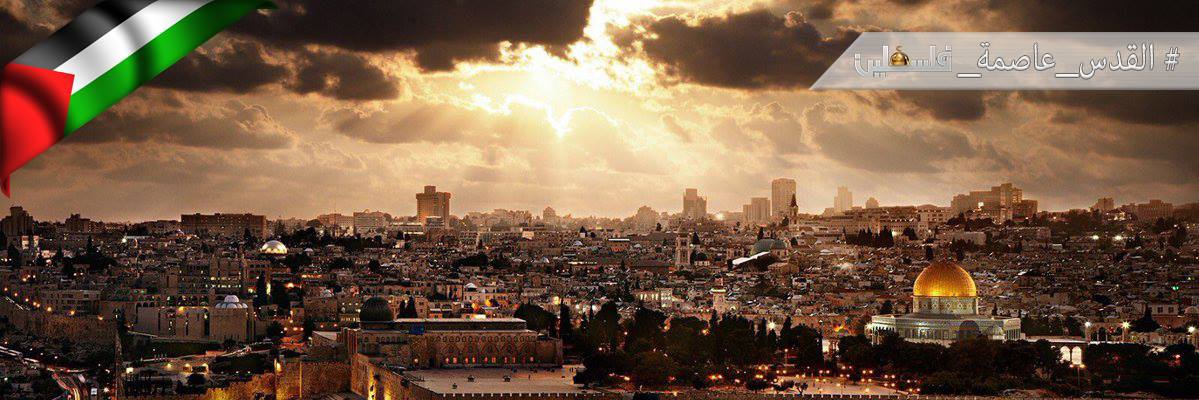 Egymatrix's profile banner image