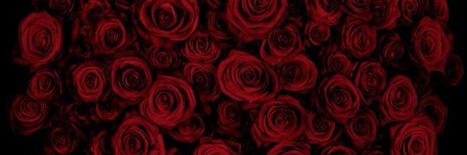 Da_LadyMac's profile banner image