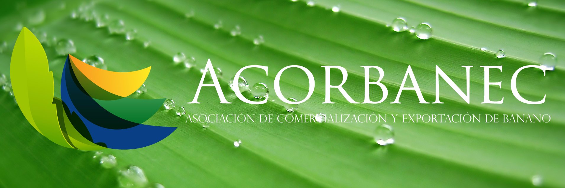 Acorbanec's banner