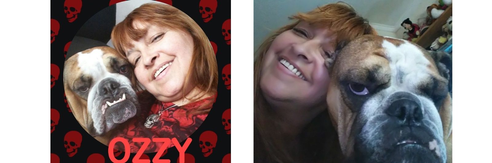 fannykev's profile banner image