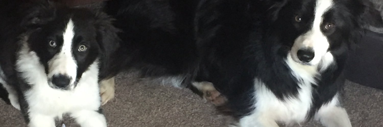 CLewisEdwards's profile banner image