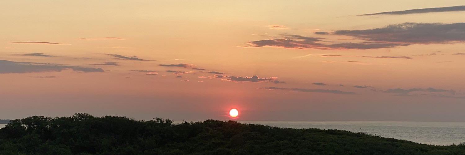 leilamlg24's profile banner image