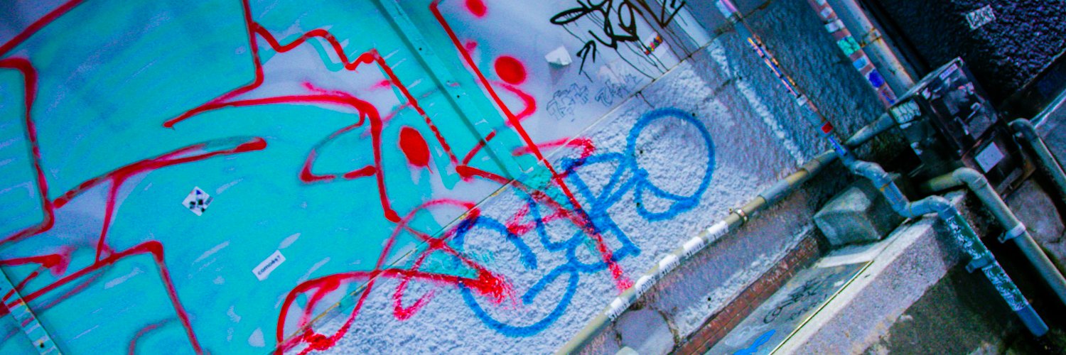 遠山めぐこ/megco banner