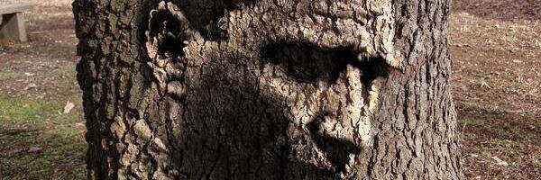 birkan_75's profile banner image