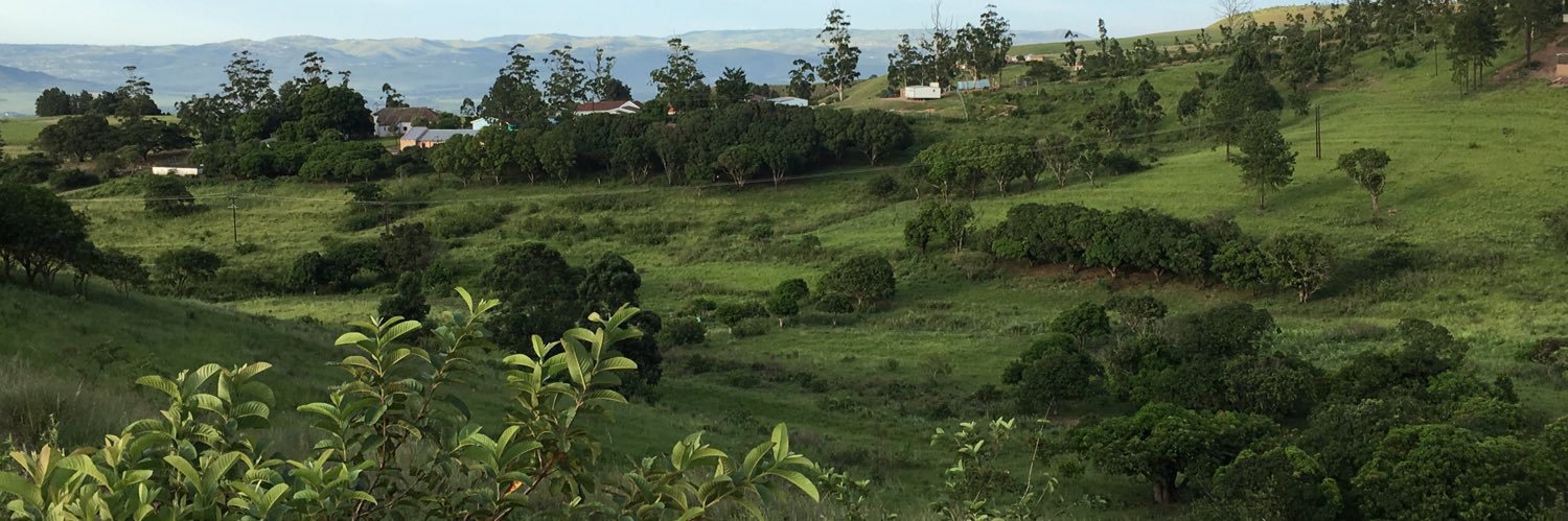 Mkhulus's profile banner image