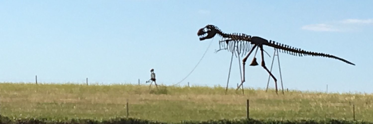 Alexis Bender banner