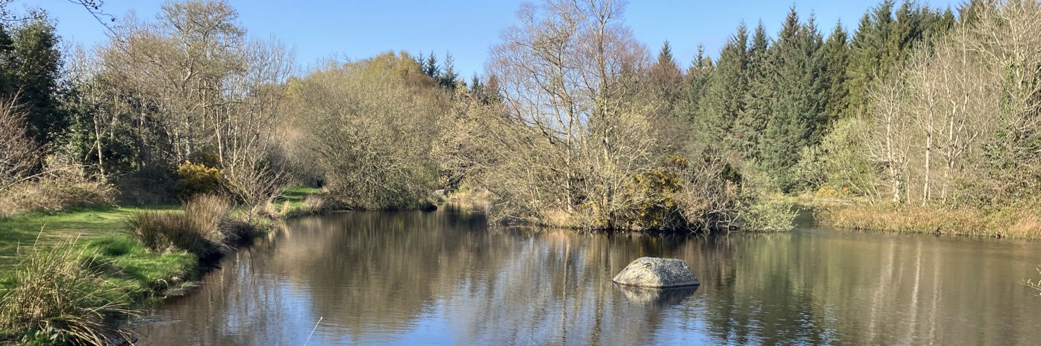 Noel Juvigny-Khenafou banner