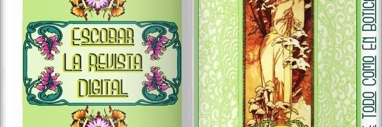 EscobarRevista's profile banner image