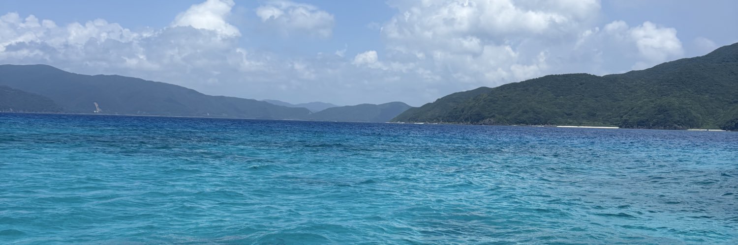 chiekojima's profile banner image
