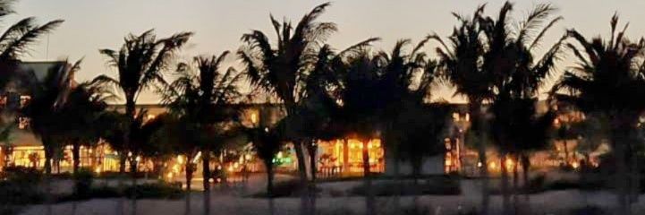 eselas's profile banner image