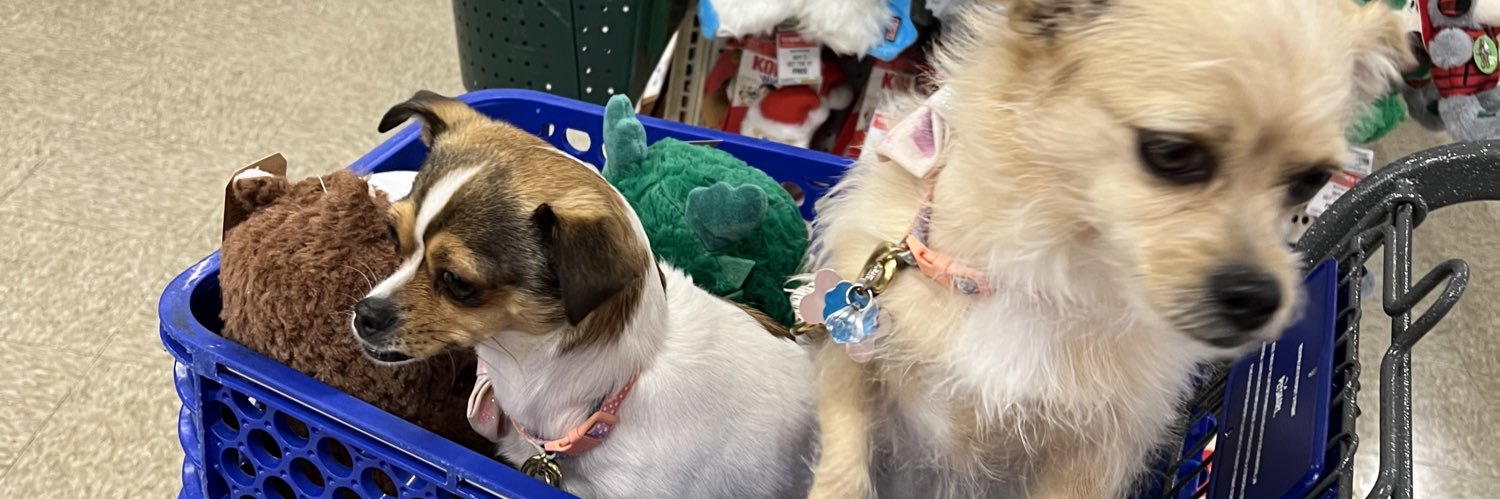 🦂💙🐶kagee🐶💙🦂 banner