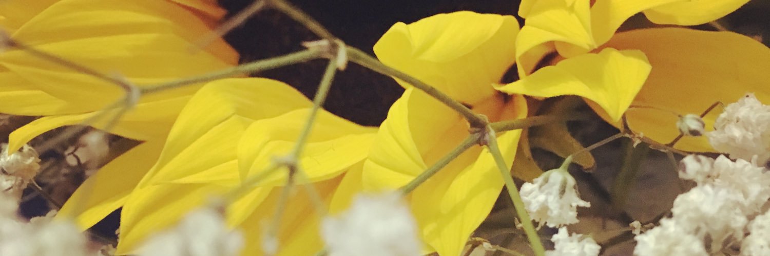 SoshyLuv's profile banner image