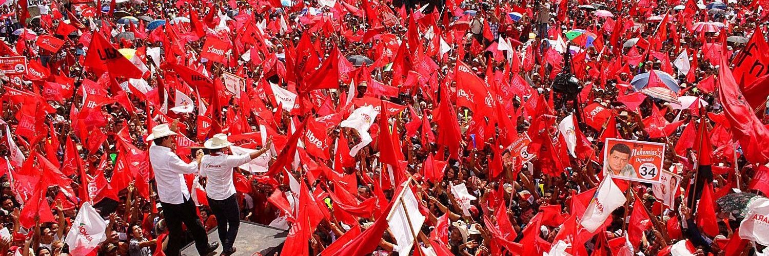 Partido Libre banner