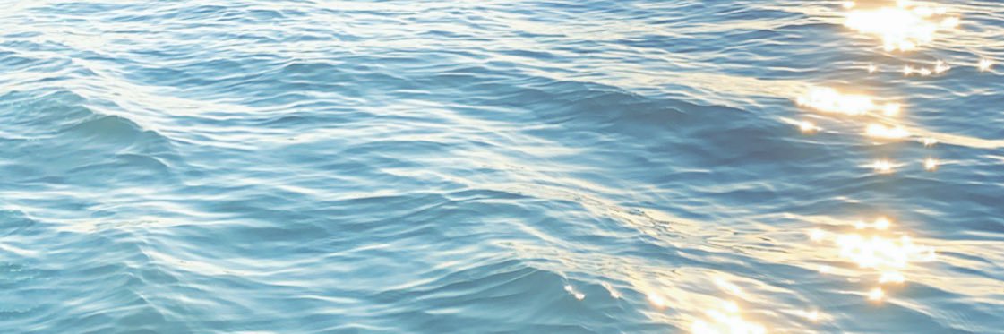 👽 banner