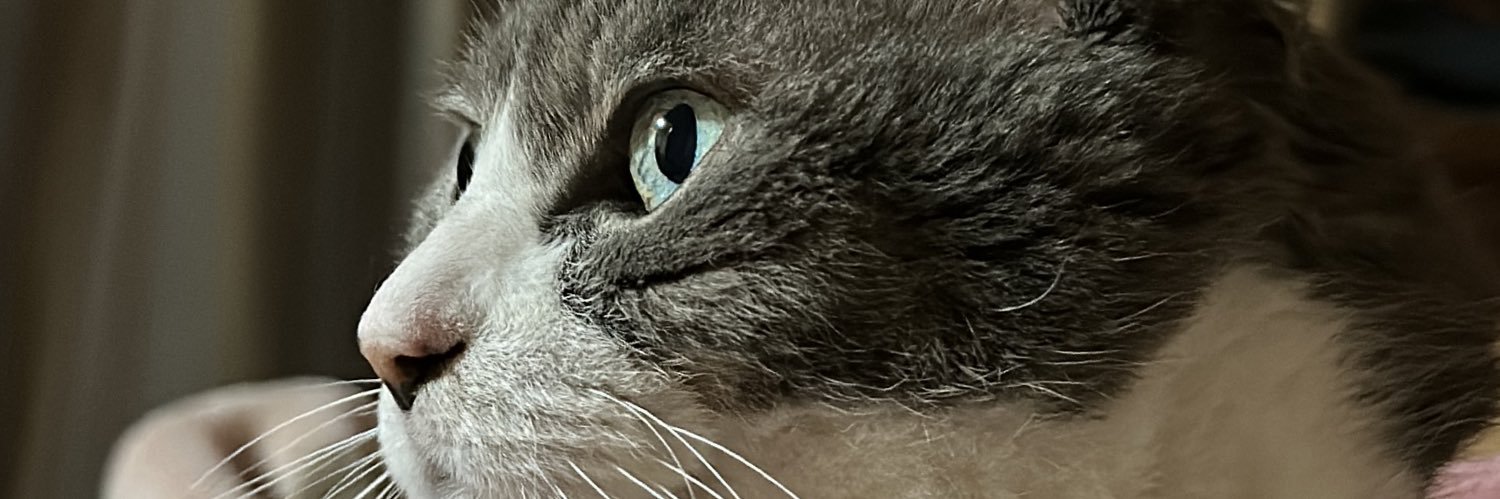 せいが(みやび) banner