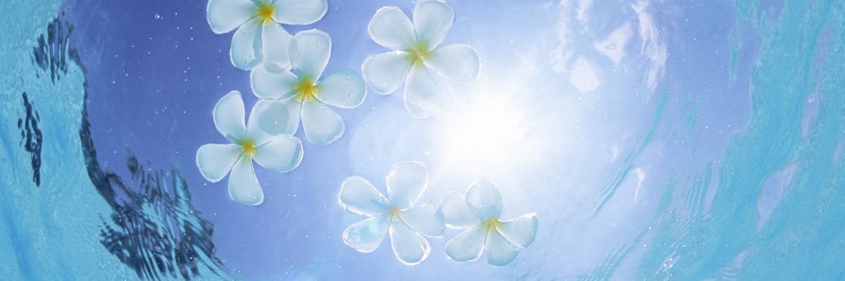☆'s banner