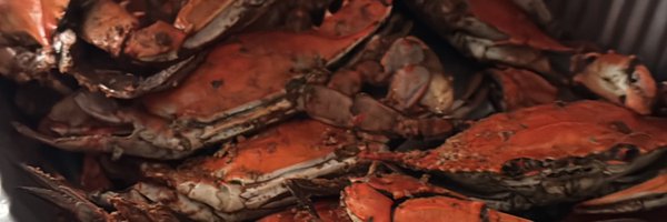 CarrolCoMd Profile Banner