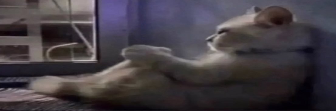 curakia_'s profile banner image