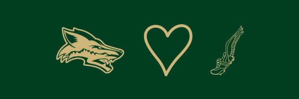 Skyline Track banner