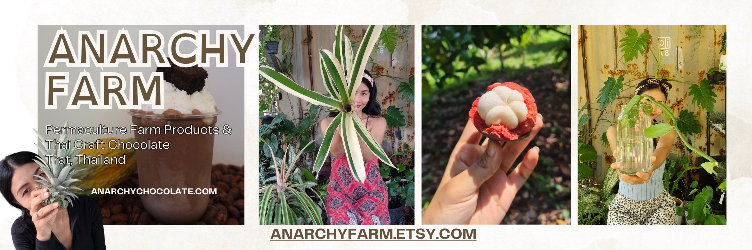 AnarchyChoco's profile banner image