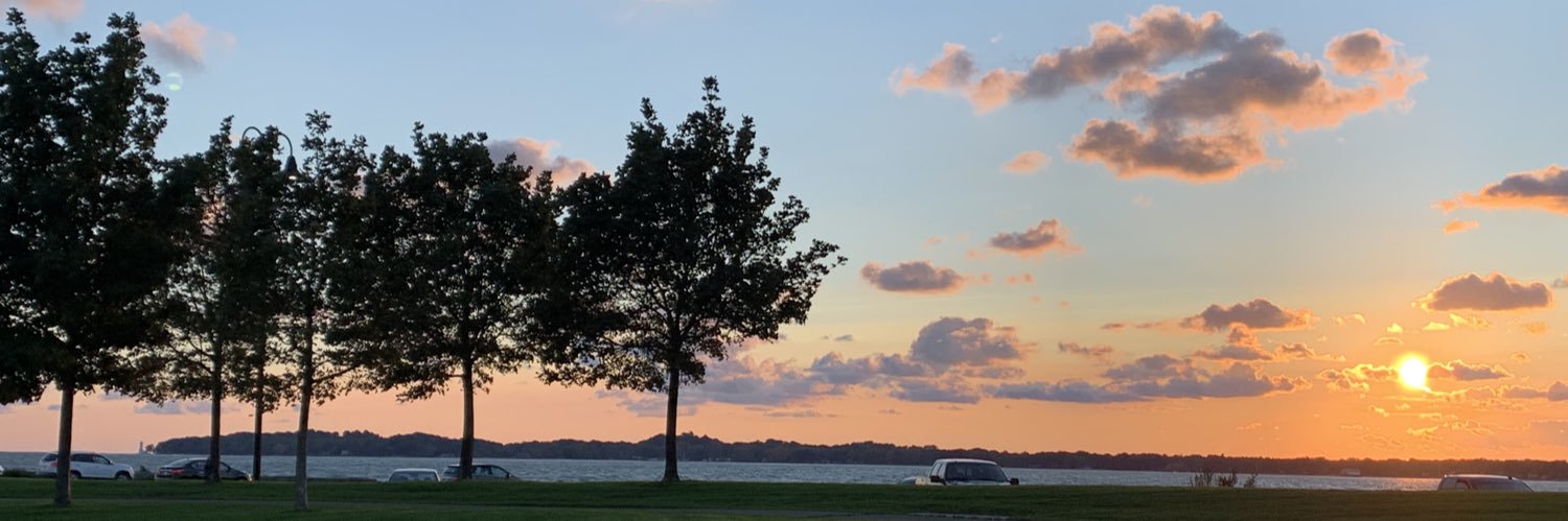 Scott Maskell banner