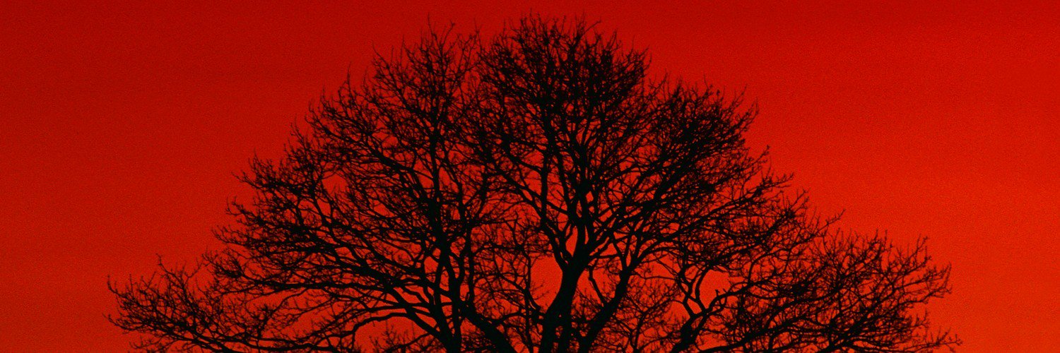 CarsonRapsilver's profile banner image