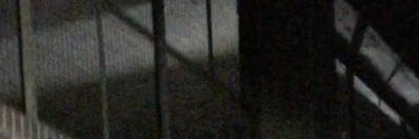 possumash Profile Banner