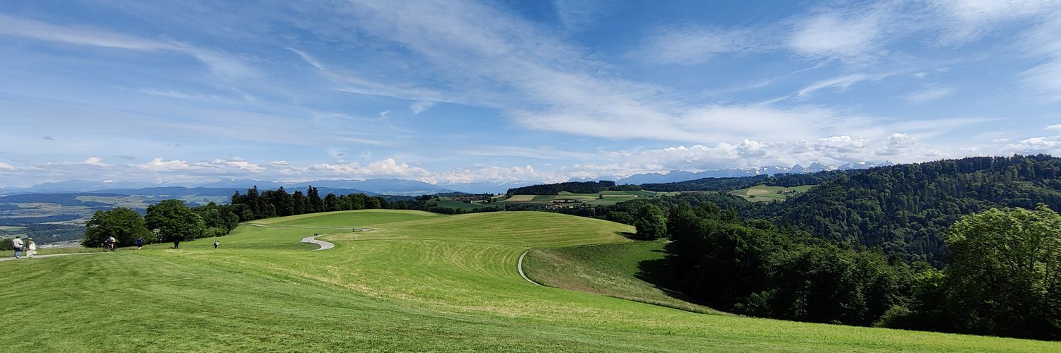 Schierstaedt's profile banner image