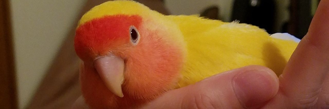 mitsuSTY's profile banner image