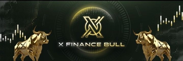Xfinancebulz's profile banner image