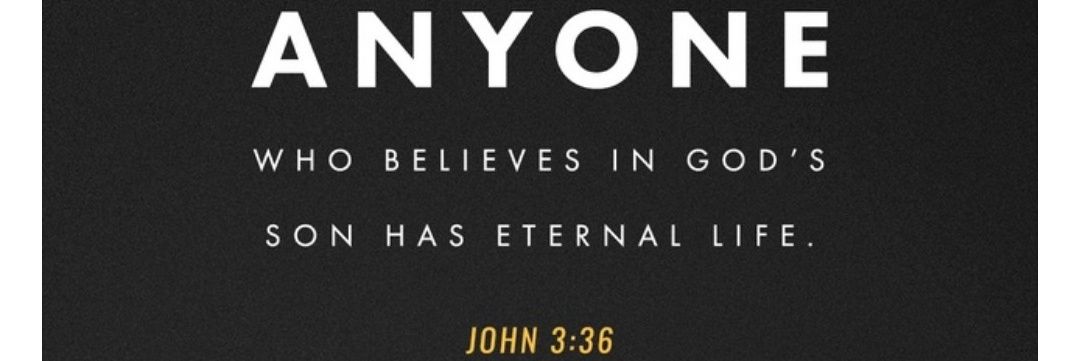 dg.official banner