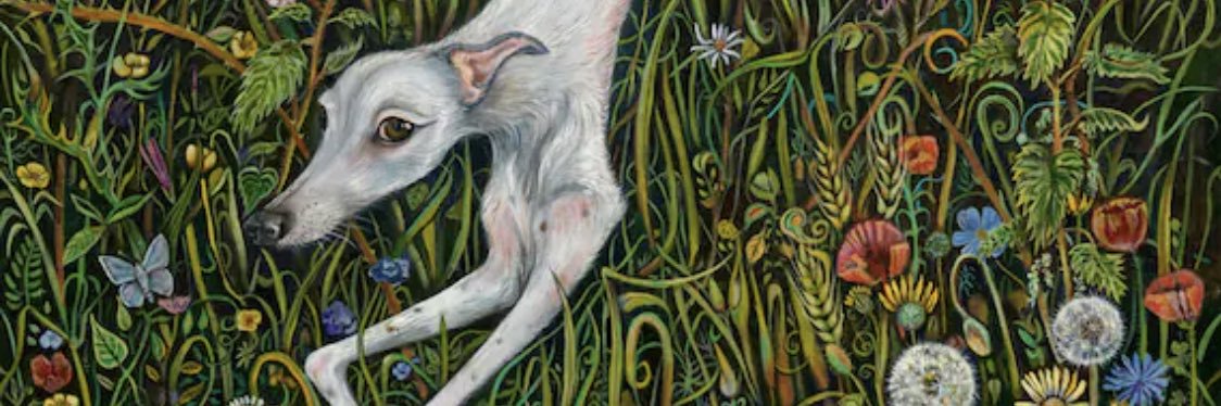 Natasha Finlayson banner