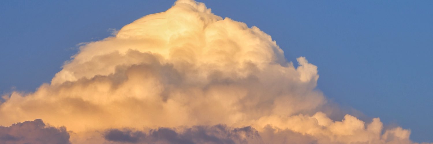 b9116_'s profile banner image