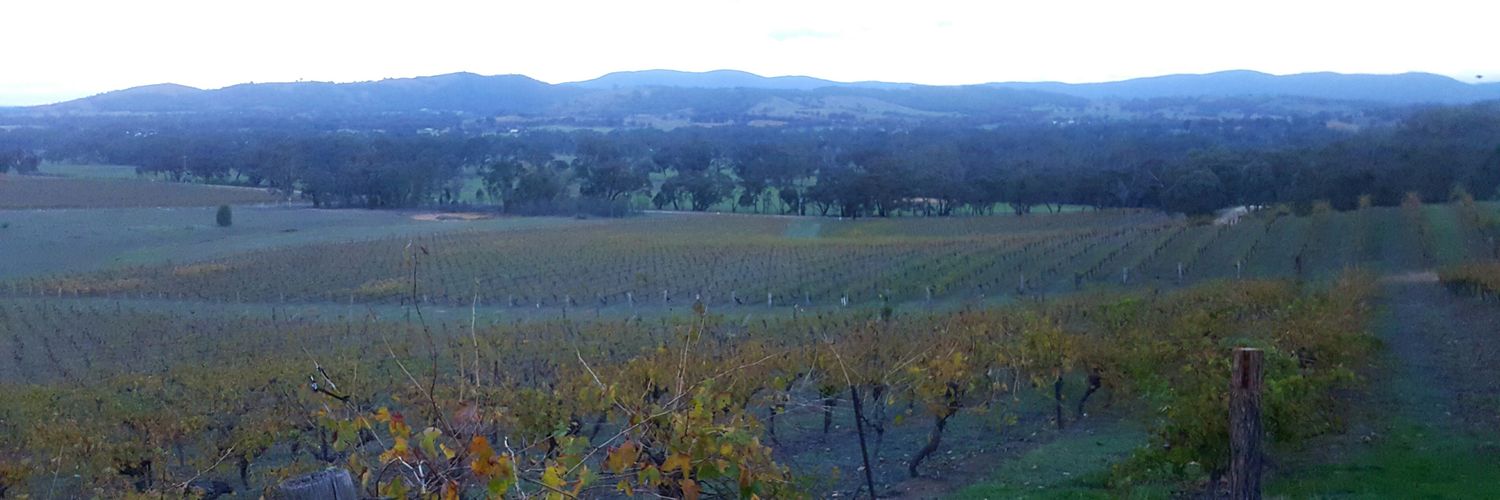 itmightbelida's profile banner image