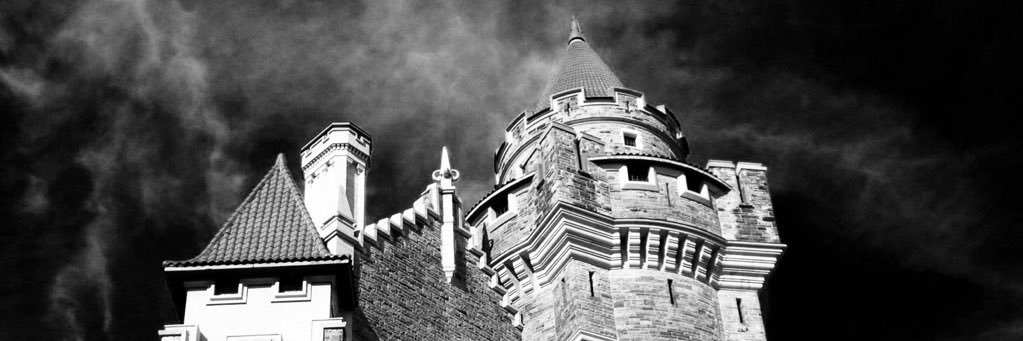 Maddie 🏳️‍⚧️🇵🇸🕎 banner