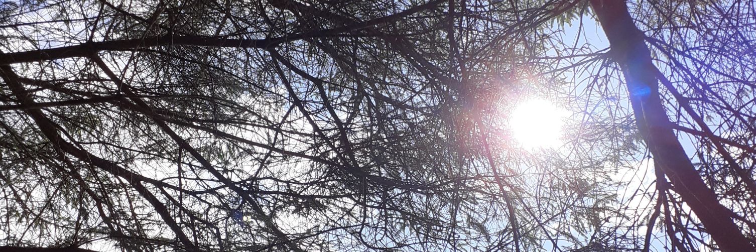 Idolly Dancing banner