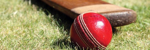 James Buttler | Cricket Badger Podcast 🏏🦡🇺🇦 Profile Banner