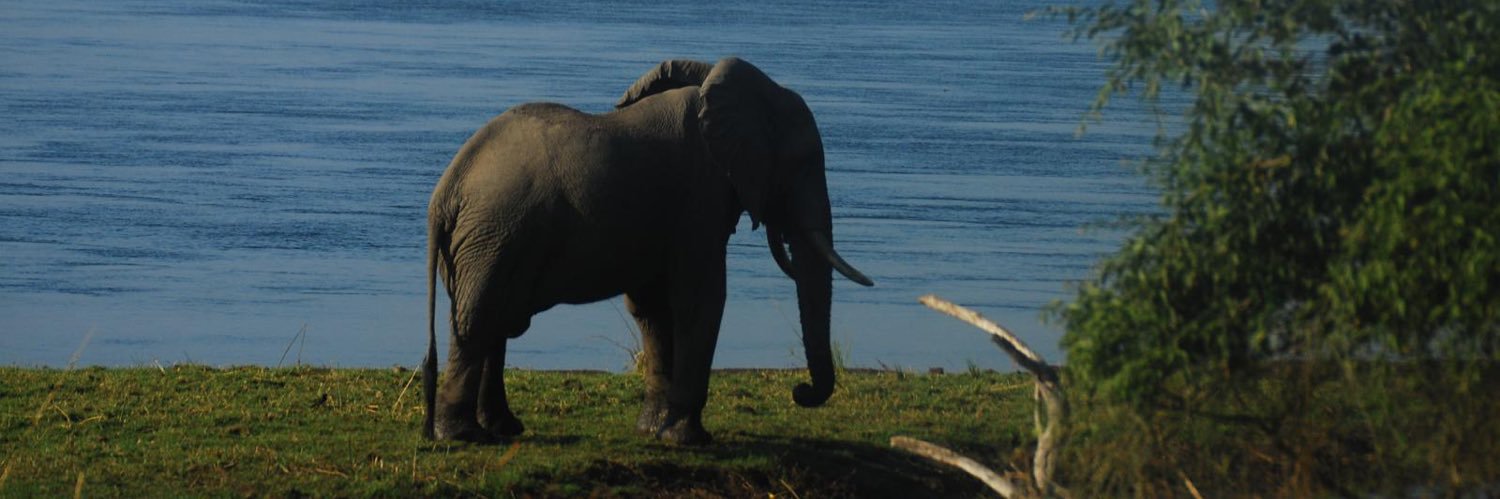 BeltonMatambo's profile banner image