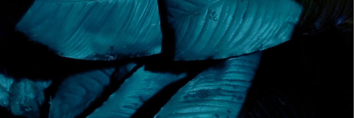 ArwidNystrm's profile banner image